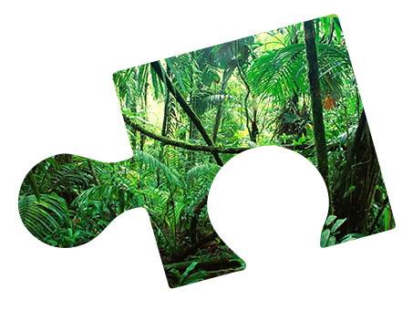 puzzle-gb-jungle